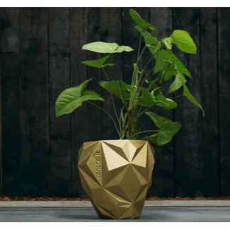 Candellana Bloempot beton Geometric 13 cm Classic Gold