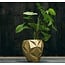Candellana Bloempot beton Geometric 13 cm Classic Gold