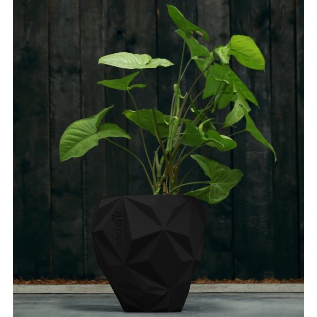 Candellana Bloempot beton Geometric 13 cm mat Zwart