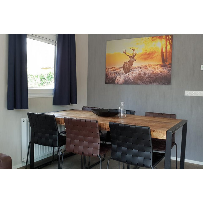 MondiArt Alu Art | Red Deer in Morning Sun - Wanddecoratie van MondiArt