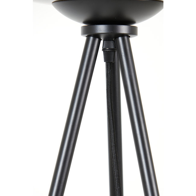 Light en Living Vloerlamp Ø42x146 cm MAYSON mat  zwart+glas smoke