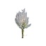 Countryfield Astilbe boeket met LED verlichting wit