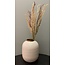 Parlane Ornament 10x2x53 cm WILD GRASS ivoor-roodbruin-groen