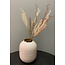 Parlane Ornament 10x2x53 cm WILD GRASS ivoor-roodbruin-groen