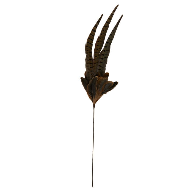 Light en Living Ornament Ø15x60 cm PHEASENT donker  bruin