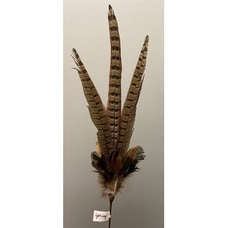 Light en Living Ornament Ø15x60 cm PHEASENT donker  bruin