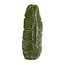 Light en Living Vaas LOU keramiek groen -  19 x 11 x 46,5 cm