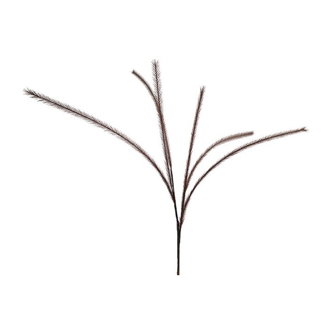 Countryfield Countryfield Pluim tak donkerbruin - 112 cm