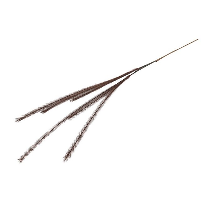 Countryfield Countryfield Pluim tak donkerbruin - 112 cm