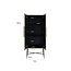 Richmond Interiors  Wandkast Ironville 2-deuren (Gold)