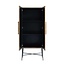 Richmond Interiors  Wandkast Ironville 2-deuren (Gold)