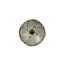 Light en Living Wandlamp Ø39x20 cm SINULA goud