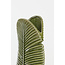 Light en Living Vaas LOU keramiek groen -  19 x 11 x 46,5 cm