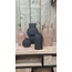 Countryfield Vaas Paige Zwart No. 2 - Stijlvolle Design Vaas