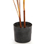 Parlane Ornament in pot STRELITZIA goud-bruin+zwart - Ø110 cm