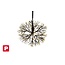 Countryfield Kerstverlichting LED timer Apollo  zwart - 2 afmetingen