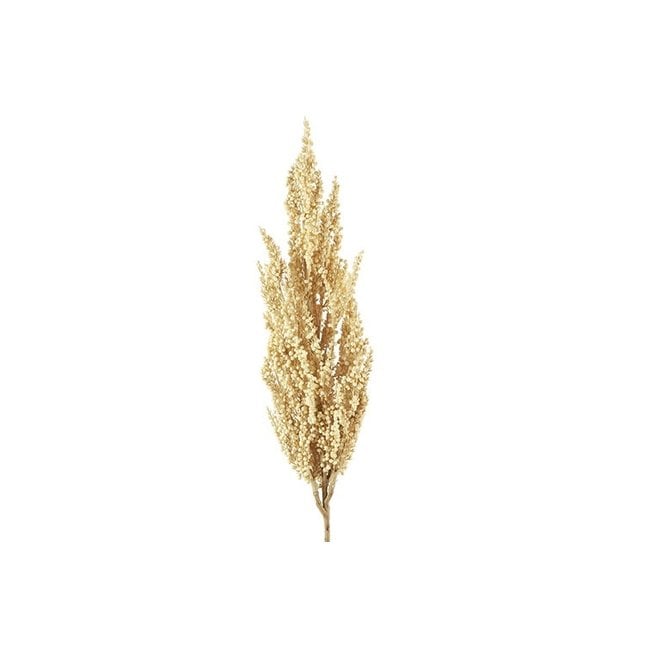 Countryfield Kunsttak Sorghum beige - Sfeervolle zijden tak voor in de vaas