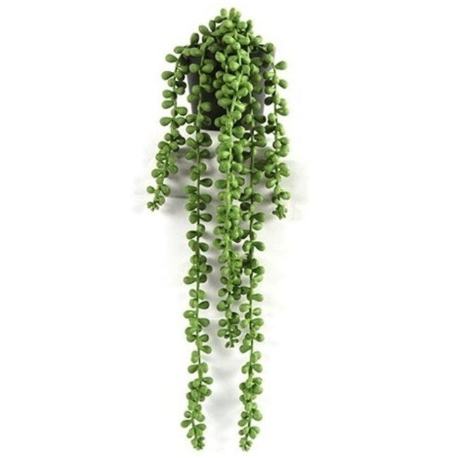 Countryfield Kunstplant Senecio Rowleyanus - Exotische Hangplant