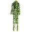 Countryfield Kunstplant Senecio Rowleyanus - Exotische Hangplant