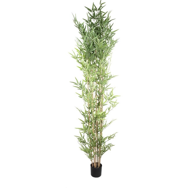 PTMD Kunstplant Leaves Plant green bamboo natural in pot - 240 cm hoog