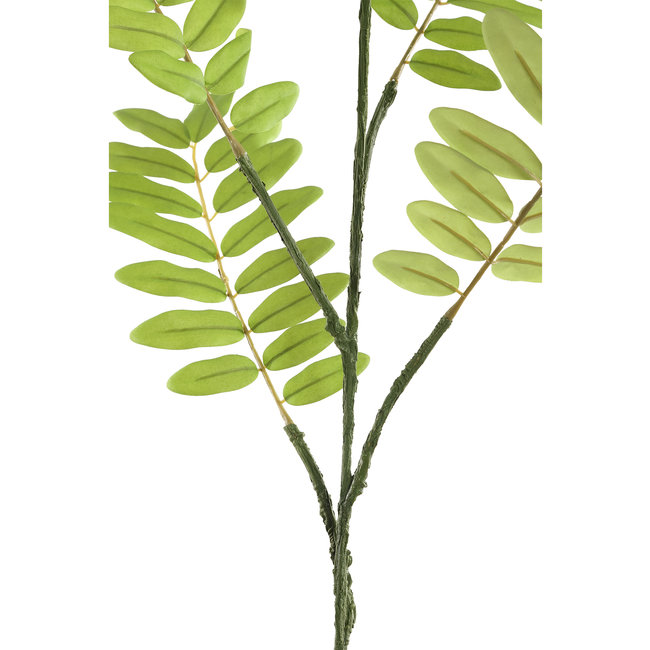 PTMD Kunsttak Leaves Plant green cassia leaves spray
