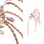 PTMD Kunsttak Twig Plant copper glitter amaranthus spray