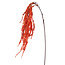 PTMD Kunsttak Twig Plant orange amaranthus hanging spray