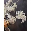 PTMD Kunsttak Garden Flower green clematis seed spray