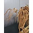 PTMD Kunsttak Twig Plant copper glitter amaranthus spray