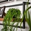 WoonStijl Set Wandplanken Live Edge Groot - Industrieel Acaciahout