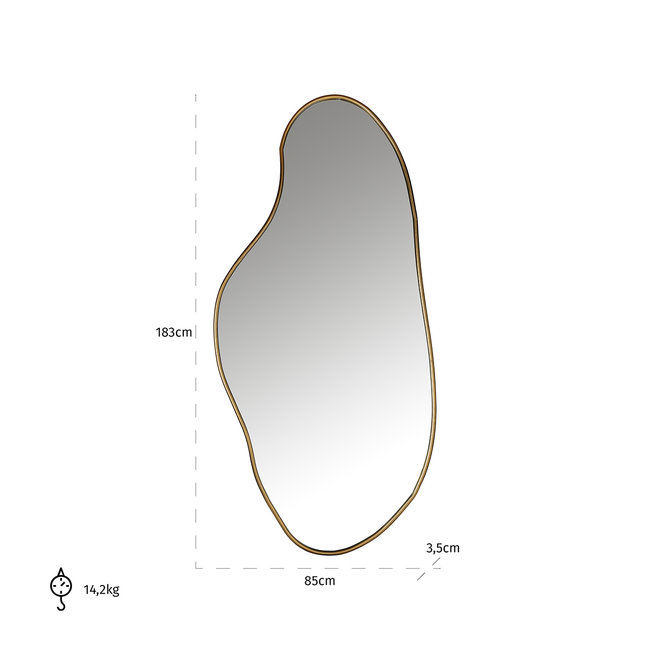 Richmond Interiors  Spiegel Alton (Brushed Gold)