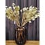 Countryfield Kunsttak Lunaria biennis L - groen