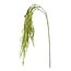 PTMD Kunsttak Twig Plant green amaranthus hanging spray