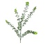 Countryfield Countryfield Kunsttak Eucalyptus Groen 88 cm