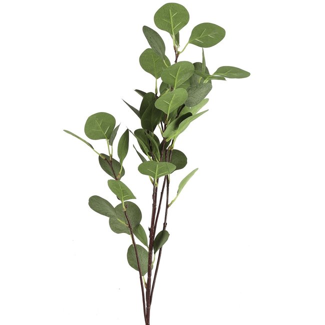 Countryfield Tak Eucalyptus groen 2