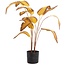 Parlane Ornament in pot STRELITZIA goud-bruin+zwart - Ø110 cm
