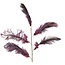 Light en Living Ornament 5 veren 129 cm FEATHER donker rood-paars
