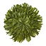 Light en Living Wandornament Ø50 cm PLUM olijf groen