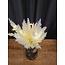 Countryfield Astilbe boeket met LED verlichting wit