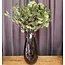 Countryfield Tak Eucalyptus groen 2