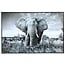 PTMD Schilderij Melani Glass Art Olifant Groot - Glaskunst