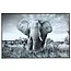 PTMD Schilderij Melani Glass Art Olifant