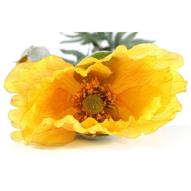 Countryfield Kunsttak Papaver Jodie geel