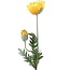 Countryfield Kunsttak Papaver Jodie geel