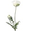 Countryfield Kunsttak Papaver Jodie wit