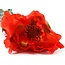 Countryfield Kunsttak Papaver Jodie oranje