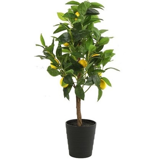 Countryfield Kunstplant Citrus Limon met gele vruchten 75 cm hoog