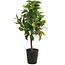 Countryfield Kunstplant Citrus Limon met gele vruchten 75 cm hoog