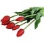 Countryfield Boeket kunstbloemen Tulip rood