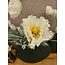 Countryfield Kunsttak Papaver Jodie wit